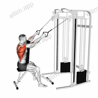 Cable High Row with Chest Support exercise targeting Back