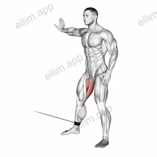 Cable Hip Adduction exercise targeting Thighs and Adductor Longus