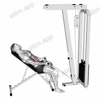 Cable Incline Biceps Curl exercise targeting Upper Arms