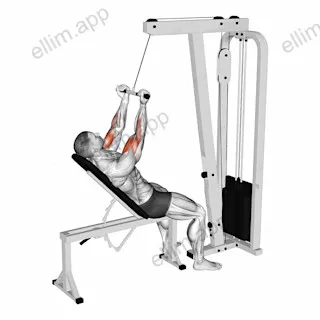 Cable Incline Close grip Curl exercise targeting Upper Arms