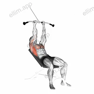 Cable Incline Pushdown exercise targeting Back and Latissimus Dorsi