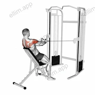 Cable Incline Rear Delt Fly with Back Support exercise targeting Shoulders