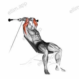 Cable Incline Triceps Extension exercise targeting Upper Arms and Triceps Brachii