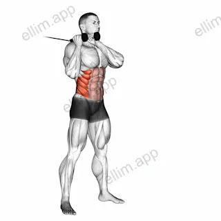 Cable Judo Flip exercise targeting Waist and Obliques