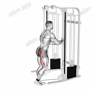Cable Kickback exercise targeting Hips
