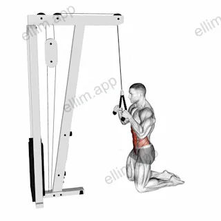 Cable Kneeling Crunch exercise targeting Waist and Rectus Abdominis