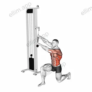 Cable Kneeling High Low Anti Rotation Chop exercise targeting Back