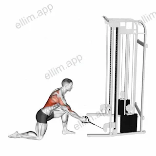 Cable Kneeling Leaning Forward One Arm Row exercise targeting Back