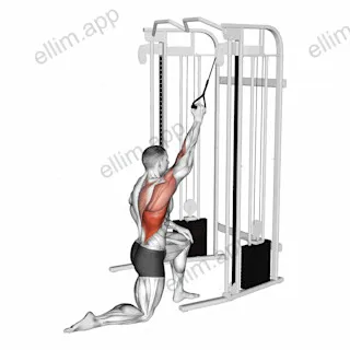 Cable Kneeling One Arm Lat Pulldown exercise targeting Back and Latissimus Dorsi