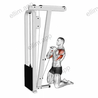 Cable Kneeling Shoulder Press exercise targeting Shoulders and Deltoid Anterior