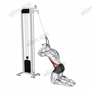 Cable Kneeling Side Crunch exercise targeting Waist