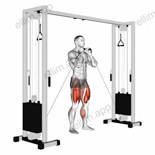Cable Lateral Lunge exercise targeting Thighs and Gluteus Maximus