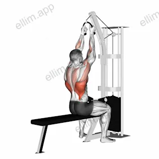 Cable Lateral Pulldown (with rope attachment) exercise targeting Back and Latissimus Dorsi