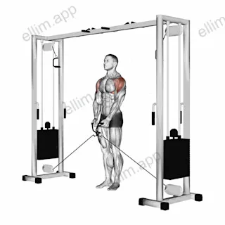 Cable Lateral Raise exercise targeting Shoulders and Deltoid Lateral
