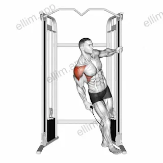 Cable Leaning Lateral Raise exercise targeting Shoulders