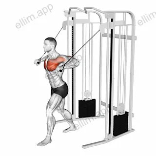 Cable Low Chest Press exercise targeting Chest