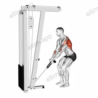 Cable Low Row with Rope Attachment exercise targeting Back