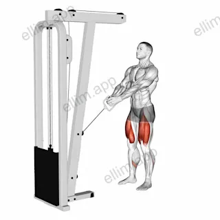 Cable Lunge exercise targeting Thighs and Gluteus Maximus