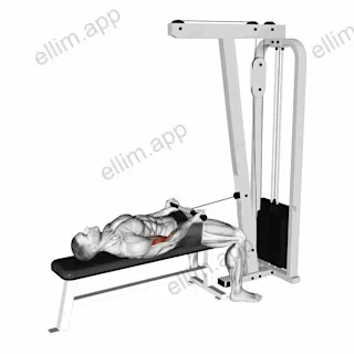 Cable Lying Bicep Curl exercise targeting Upper Arms and Biceps Brachii