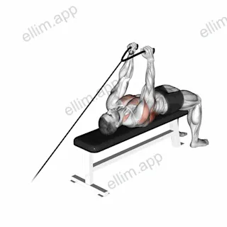 Cable Lying Extension Pullover (with rope attachment) exercise targeting Back and Latissimus Dorsi