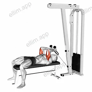 Cable Lying Triceps Extension (with Rope) exercise targeting Upper Arms and Triceps Brachii
