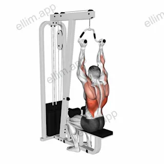 Cable Neutral Grip Lat Pulldown exercise targeting Back