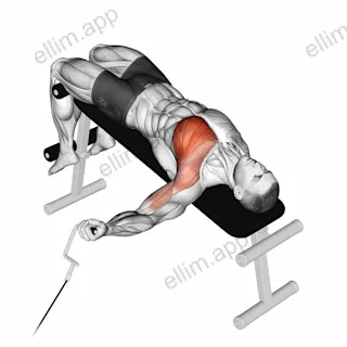 Cable One Arm Decline Chest Fly exercise targeting Chest and Pectoralis Major Sternal Head