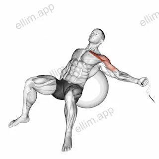 Cable One Arm Incline Fly on Exercise Ball exercise targeting Chest and Pectoralis Major Clavicular Head