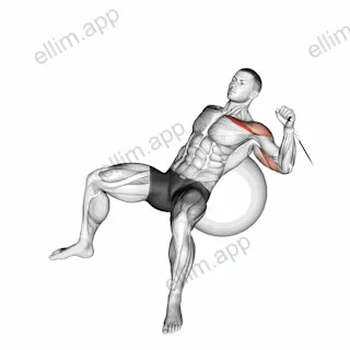 Cable One Arm Incline Press on Exercise Ball exercise targeting Chest and Pectoralis Major Clavicular Head