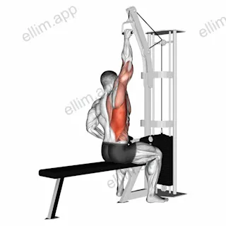 Cable one arm lat pulldown exercise targeting Back and Latissimus Dorsi