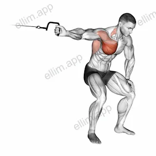 Cable One Arm Lateral Bent over exercise targeting Chest