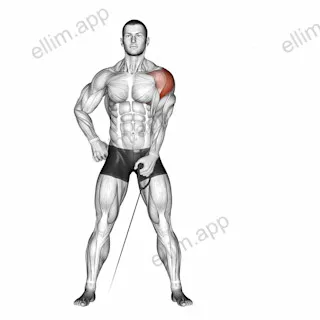 Cable One Arm Lateral Raise exercise targeting Shoulders and Deltoid Lateral