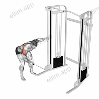 Cable One Arm Reverse Fly exercise targeting Shoulders