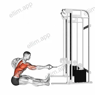 Cable one arm twisting seated row exercise targeting Back and Infraspinatus