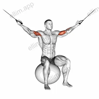 Cable Overhead Curl on Exercise Ball exercise targeting Upper Arms