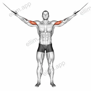 Cable Overhead Curl exercise targeting Upper Arms and Biceps Brachii