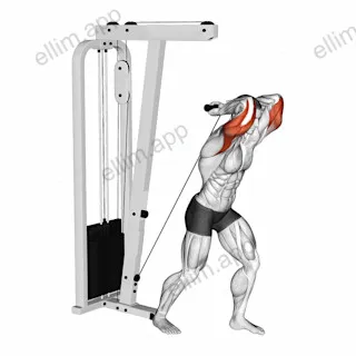 Cable Overhead Tricep Extension Straight Bar exercise targeting Upper Arms
