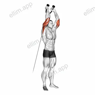 Cable Overhead Triceps Extension (rope attachment) exercise targeting Upper Arms and Triceps Brachii