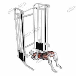 Cable Pallof Press with Glute Bridge exercise targeting Waist