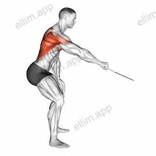 Cable Palm Rotational Row exercise targeting Back and Infraspinatus