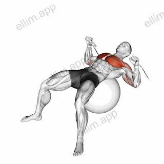 Cable Press on Exercise Ball exercise targeting Chest and Pectoralis Major Sternal Head