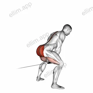 Cable Pull Through (with rope) exercise targeting Hips and Gluteus Maximus