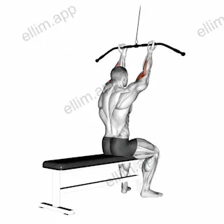 Cable Pulldown Bicep Curl exercise targeting Upper Arms
