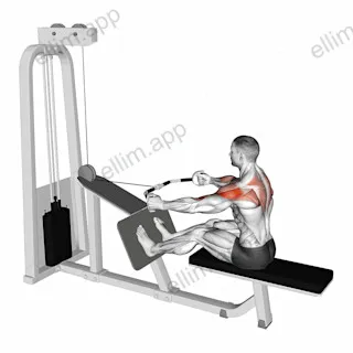 Cable Rear Delt Row (parallel bar) exercise targeting Shoulders