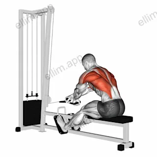 Cable Rope Crossover Seated Row exercise targeting Back and Erector Spinae