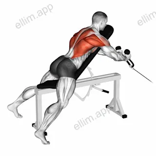 Cable Rope Extension Incline Bench Row exercise targeting Back and Infraspinatus