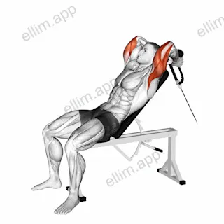 Cable Rope Incline Tricep Extension exercise targeting Upper Arms