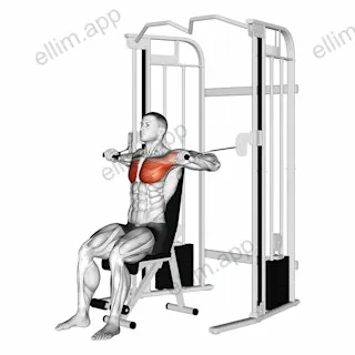 Cable Seated Chest Press exercise targeting Chest