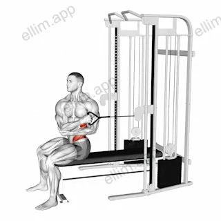 Cable Seated Cross Arm Twist exercise targeting Waist