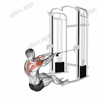 Cable Seated Face Pull (with rope) exercise targeting Shoulders